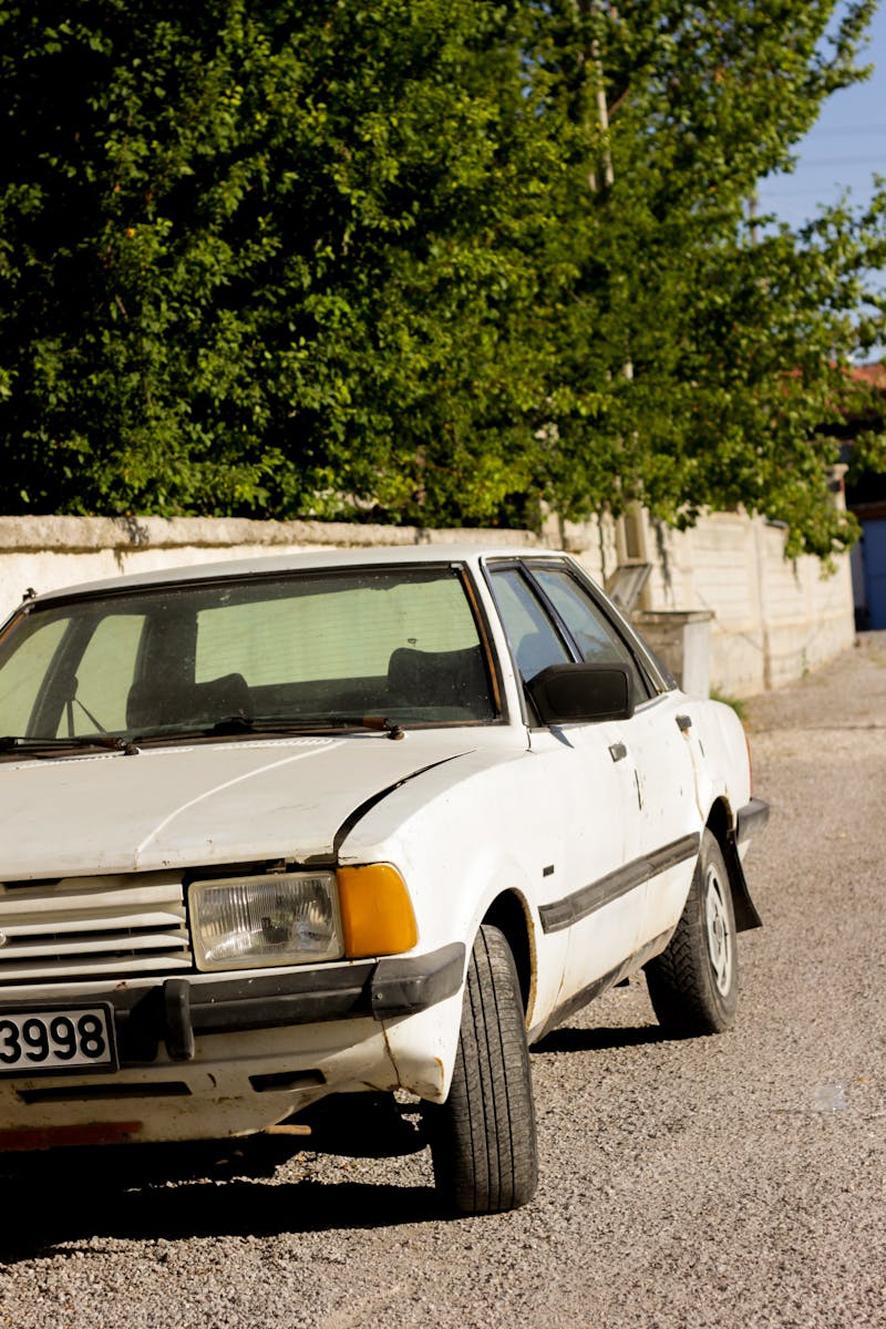 White Car Parked Near Green Tree